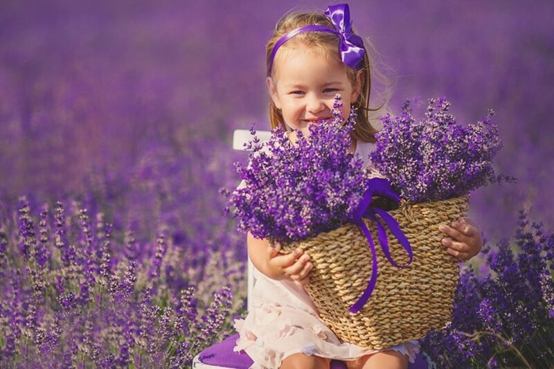 Girl Holding Lavender Basket