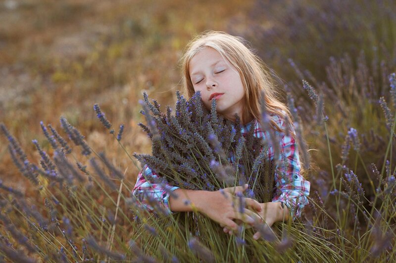 Girl Holding Lavender — Purple