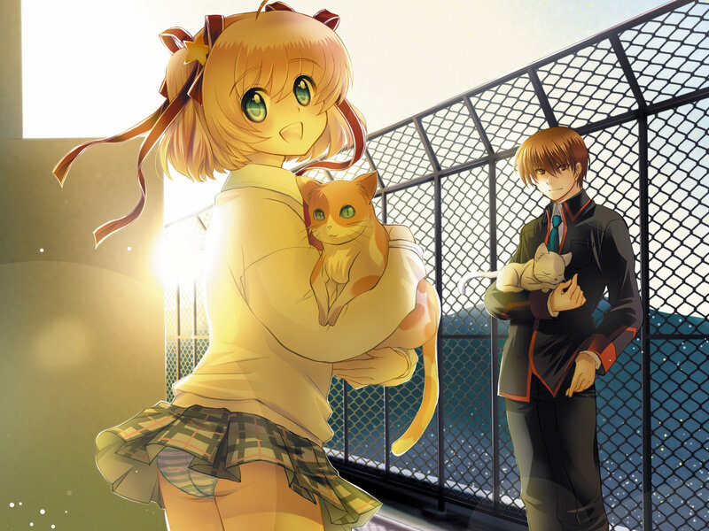 Girl Holding Orange Cat