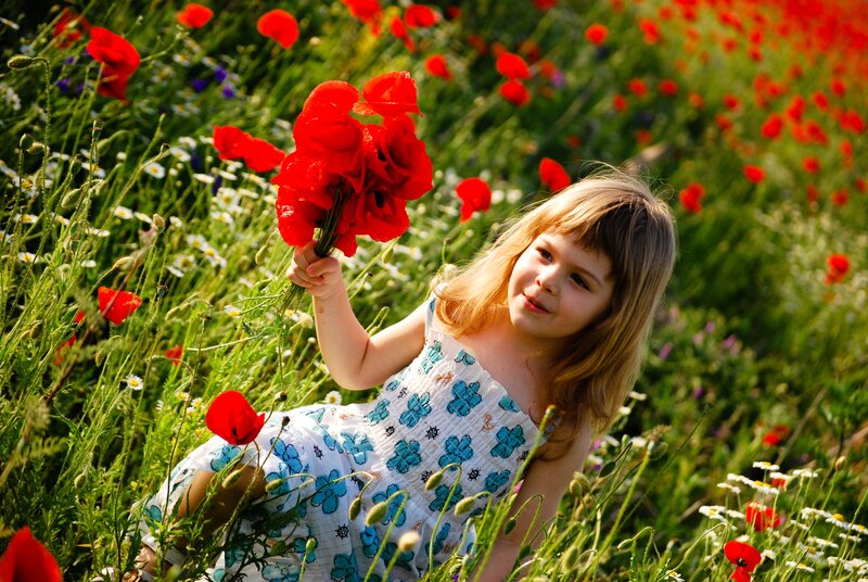 Girl holding poppies in a field