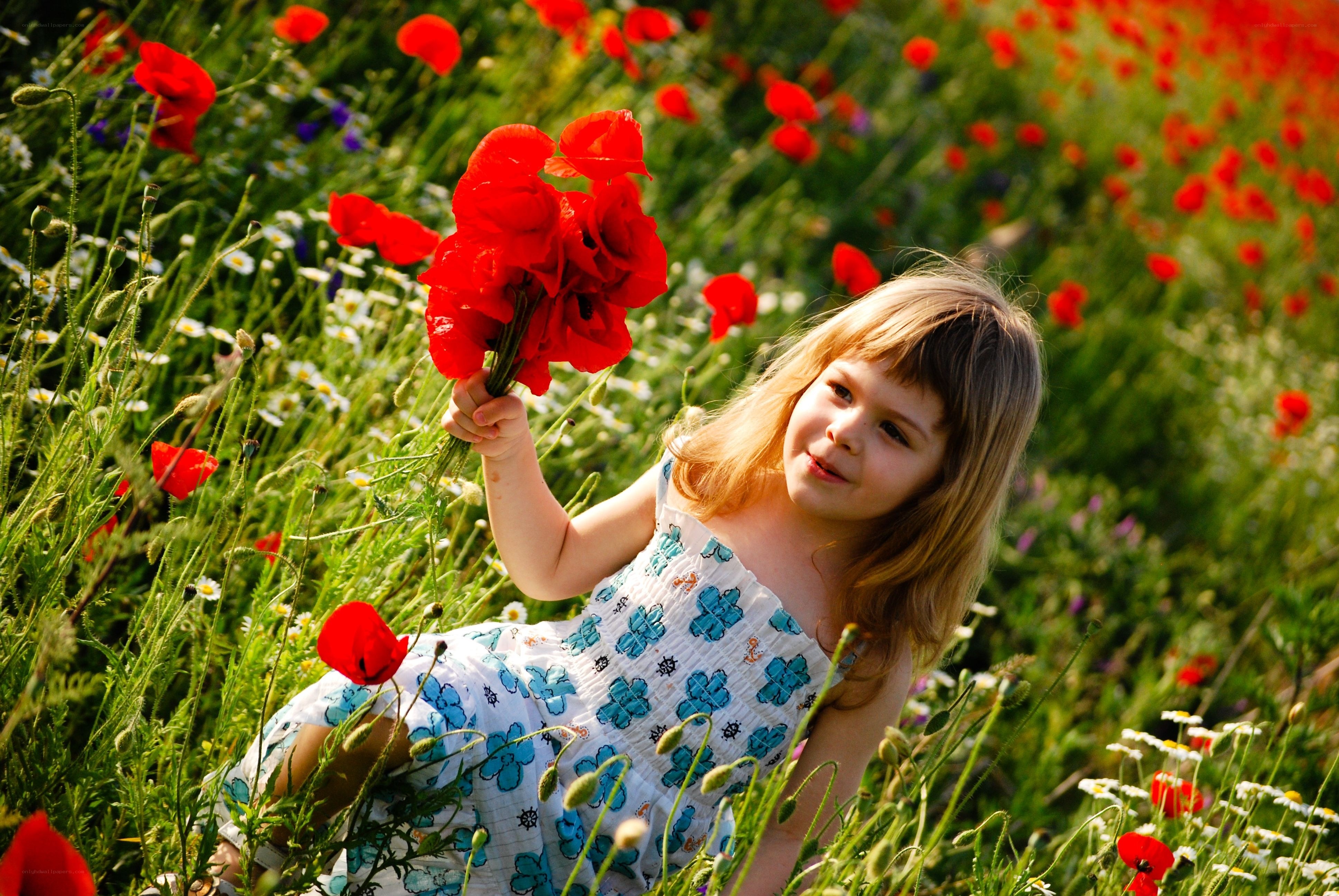 Girl holding poppies in a field