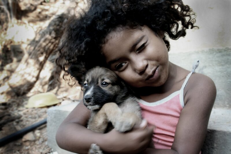 Girl Holding Puppy — Brown, Tender