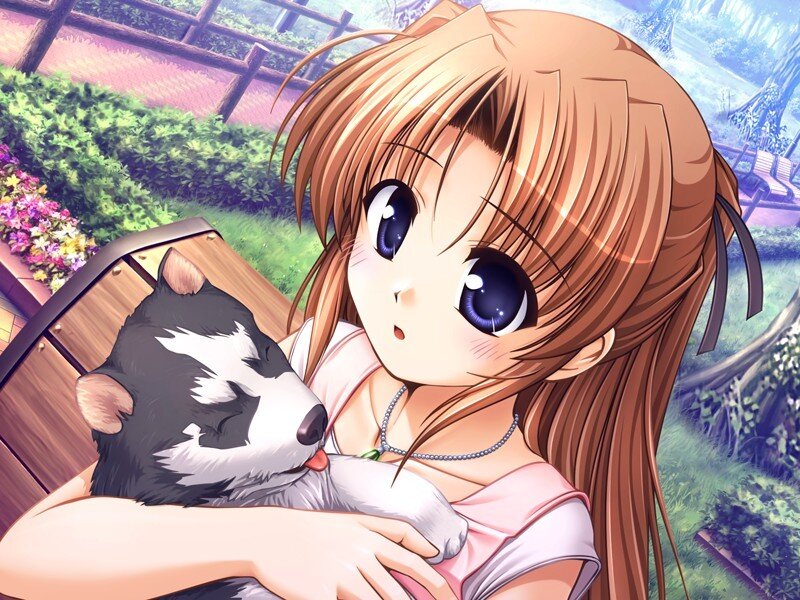 Girl Holding Puppy — Brown