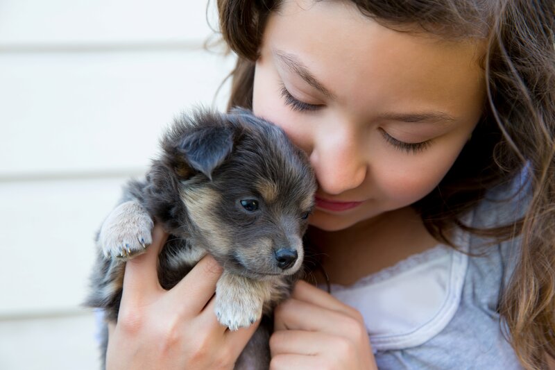 Girl Holding Puppy — Gray