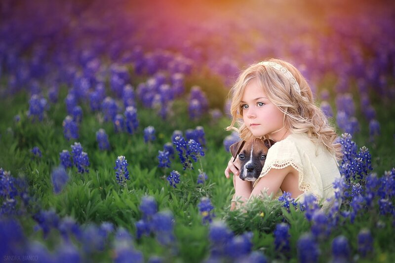 Girl Holding Puppy — Purple