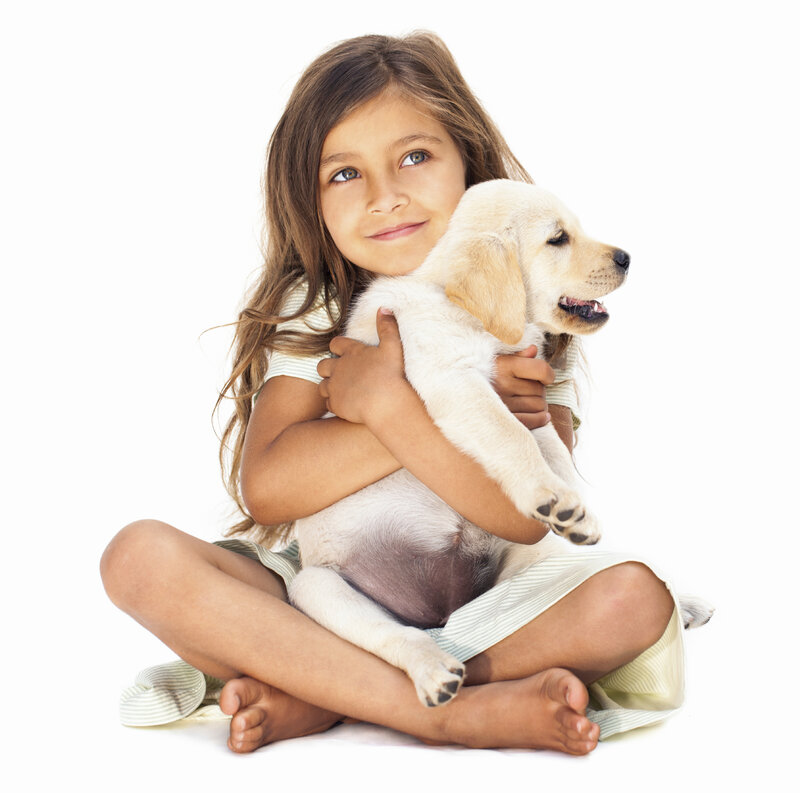 Girl Holding Puppy — White