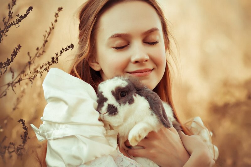 Girl Holding Rabbit — Brown, Serene, Afternoon