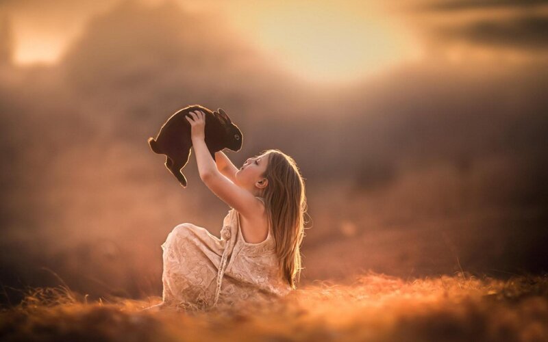Girl Holding Rabbit — Golden
