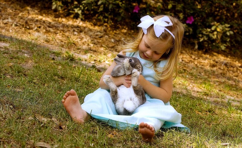Girl Holding Rabbit — Green, Serene, Afternoon