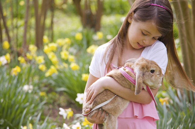 Girl Holding Rabbit — Green