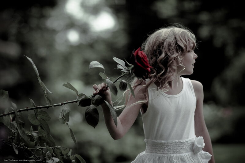 girl holding red rose