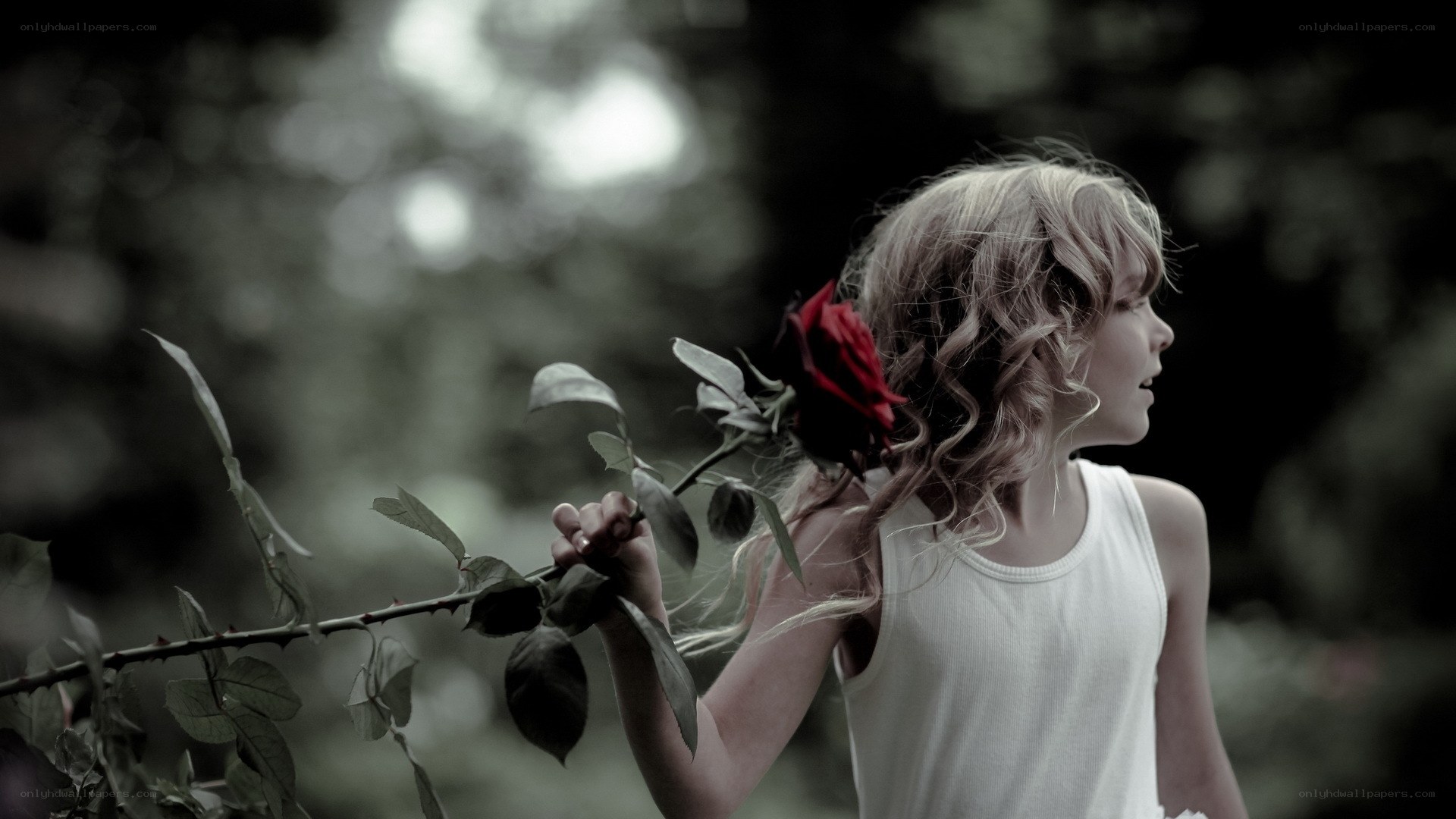 girl holding red rose