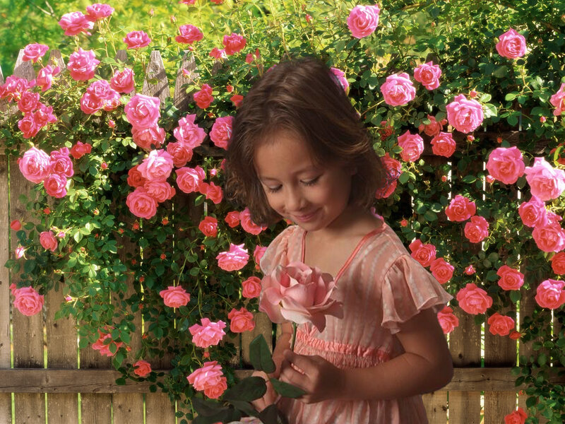 Girl Holding Rose — Pink