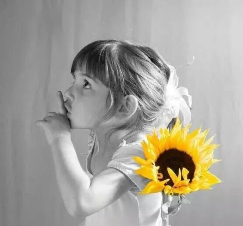 Girl Holding Sunflower — Yellow, Contemplative
