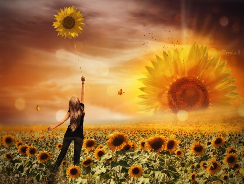 Girl Holding Sunflower — Yellow, Dreamy