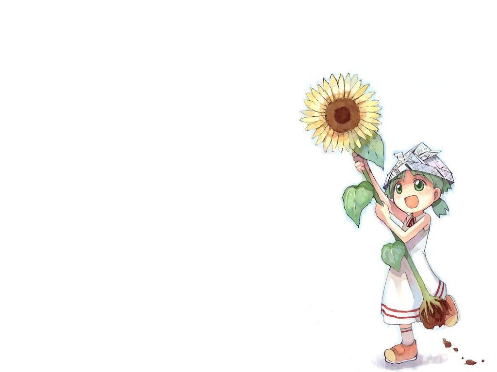 girl holding sunflower