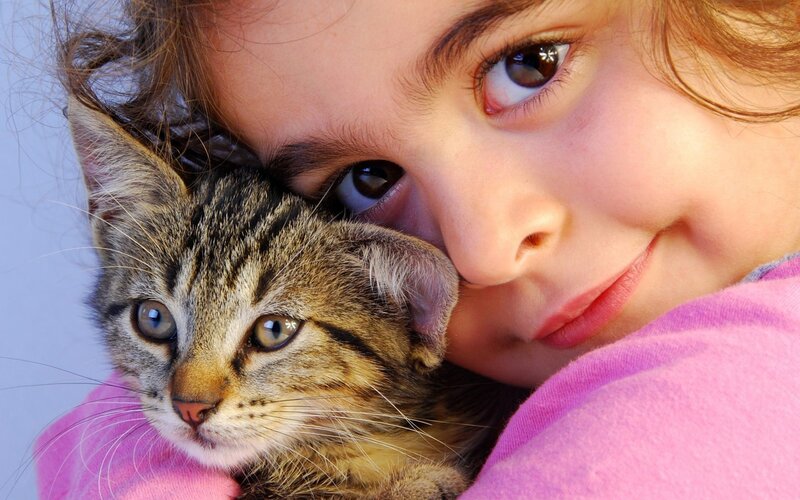 Girl Holding Tabby Kitten