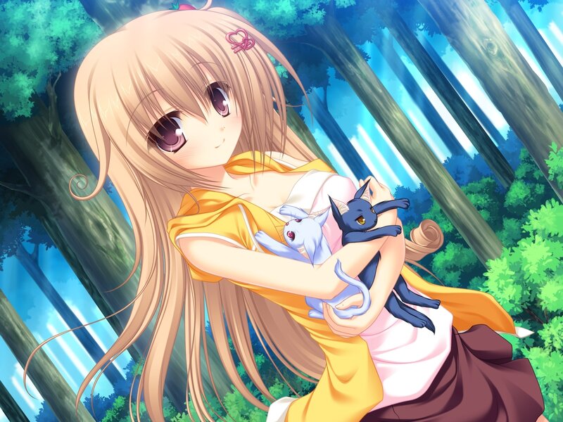 Girl Holding Two Cats — Yellow