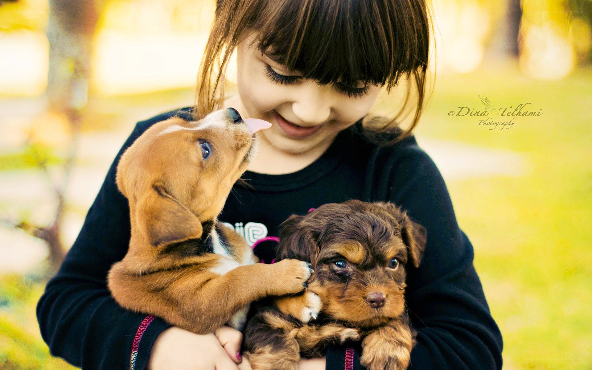 Girl holding two puppies