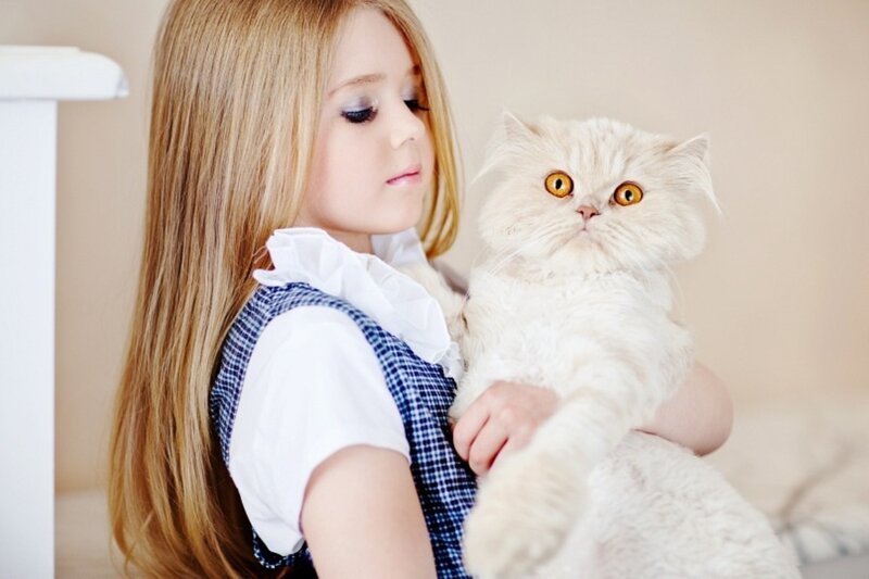 Girl Holding White Cat — Calm, Photograph