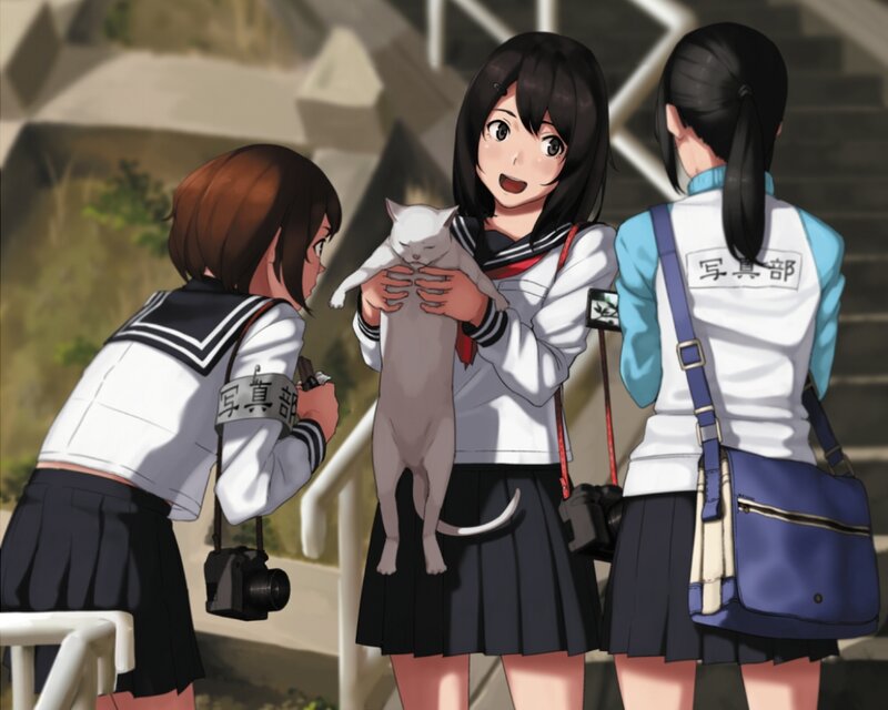 Girl Holding White Cat — Calm