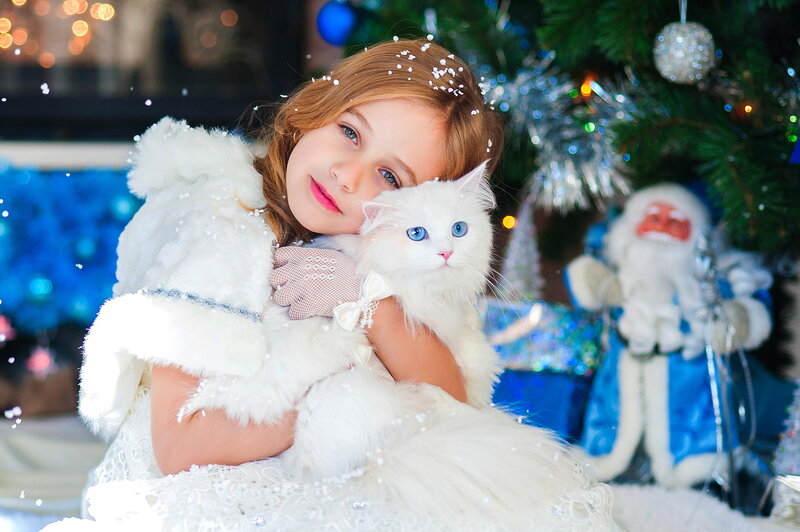 Girl Holding White Cat — Festive