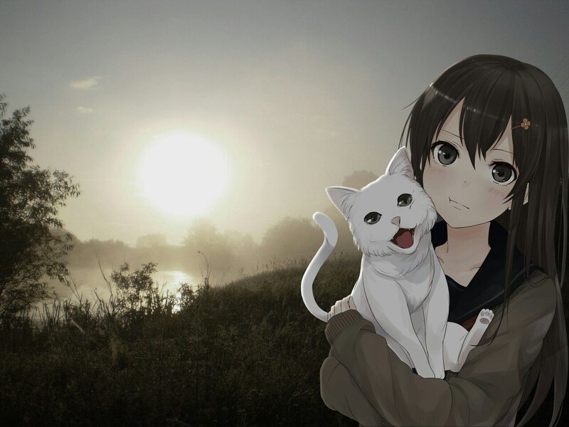 Girl Holding White Cat — Gray