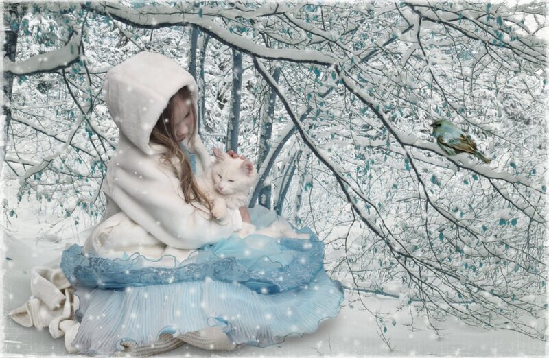 Girl Holding White Cat — Serene