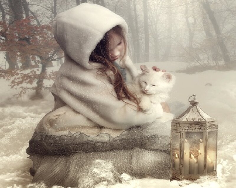 Girl Holding White Cat — Serene, Winter