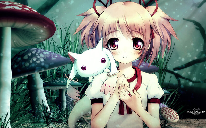 Girl Holding White Cat