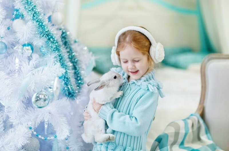 Girl Holding White Rabbit