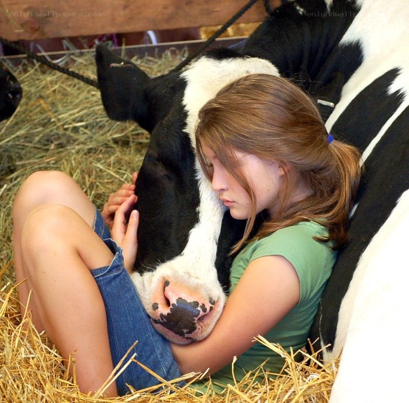 Girl hugging a cow