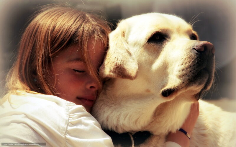 Girl Hugging a Dog — White