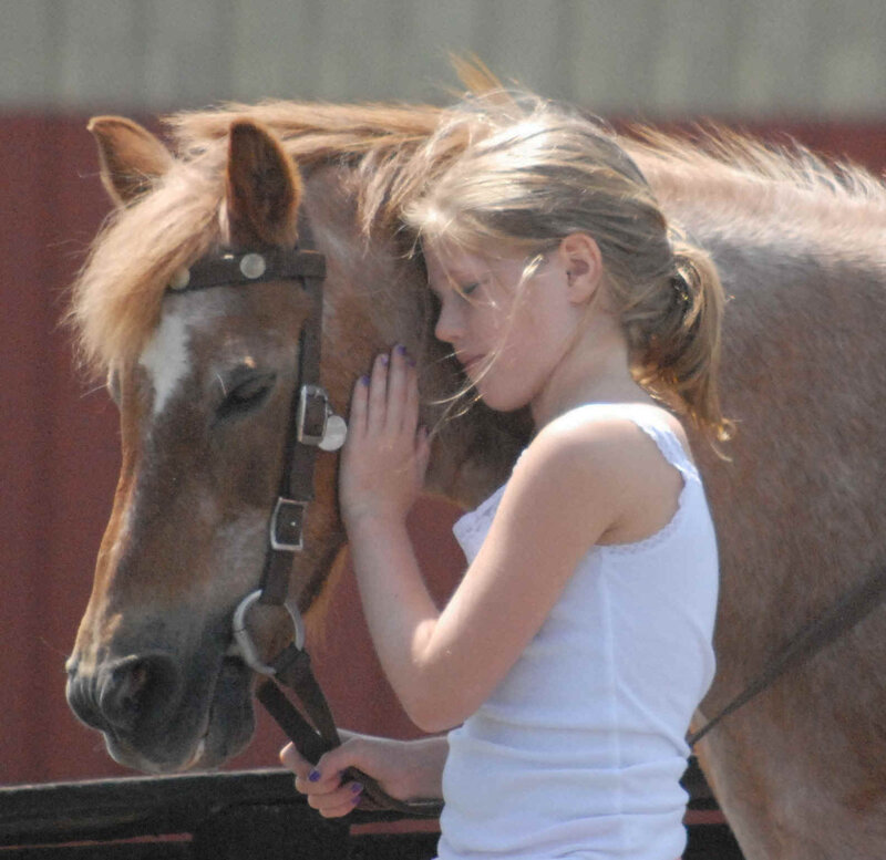 Girl Hugging a Horse — Brown, Calm