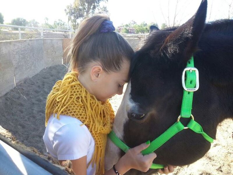 Girl Hugging a Horse — Yellow