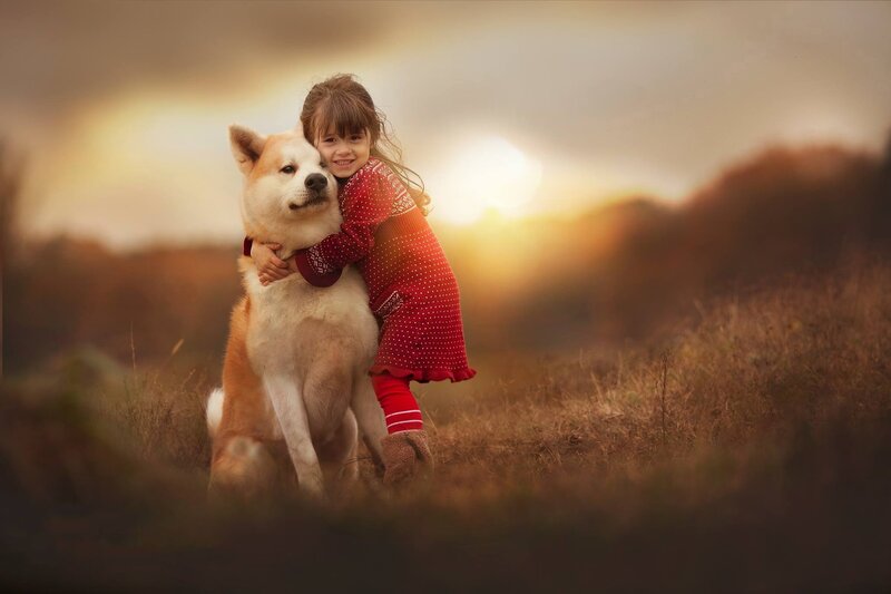 Girl Hugging Akita Dog