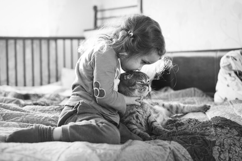 Girl Hugging Cat — Black, Calm