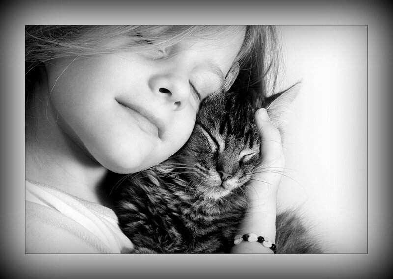 Girl Hugging Cat — Black, Serene, Photograph