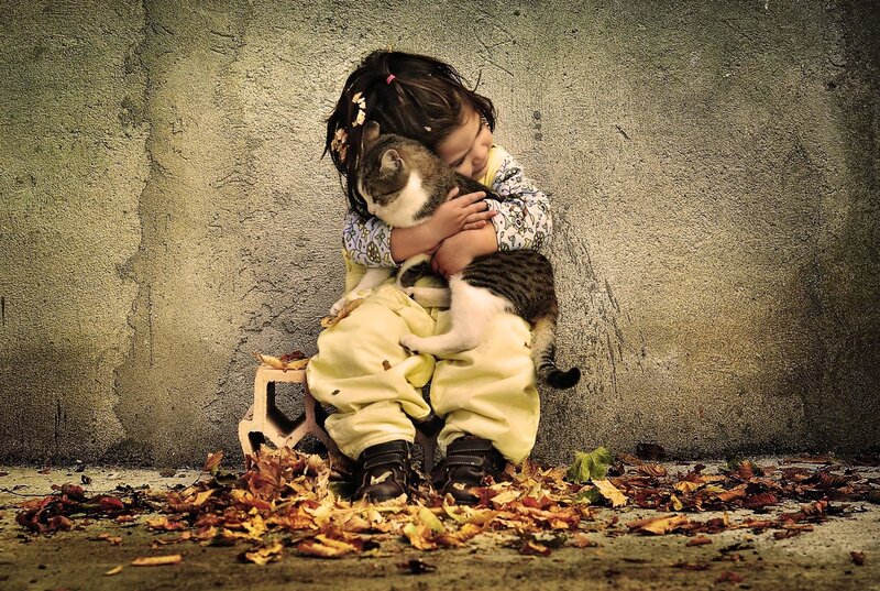 Girl Hugging Cat — Brown, Somber