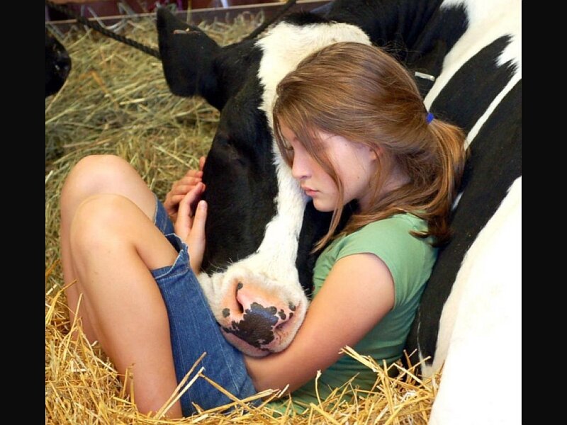 Girl Hugging Cow
