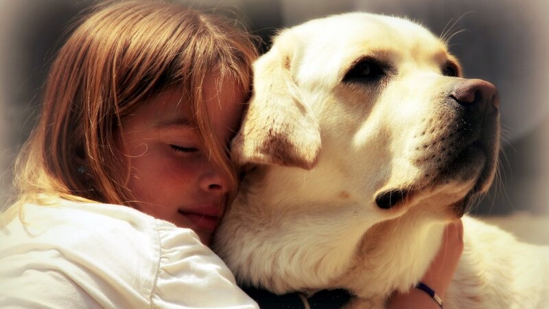 Girl Hugging Dog — White, Peaceful