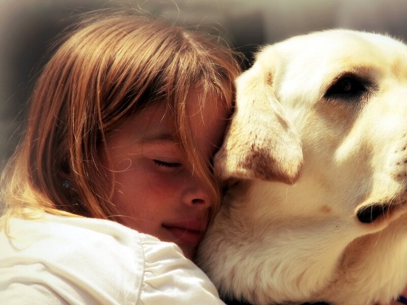 Girl Hugging Dog — Yellow