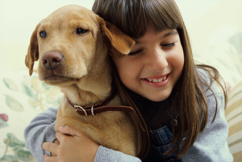 Girl Hugging Golden Retriever — Brown