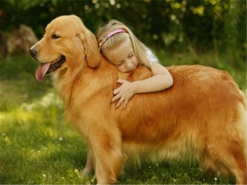Girl Hugging Golden Retriever