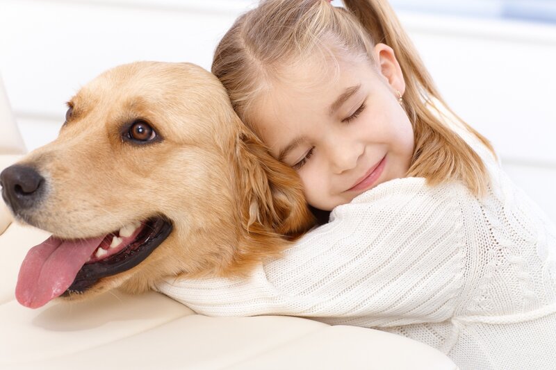 Girl Hugging Golden Retriever — White