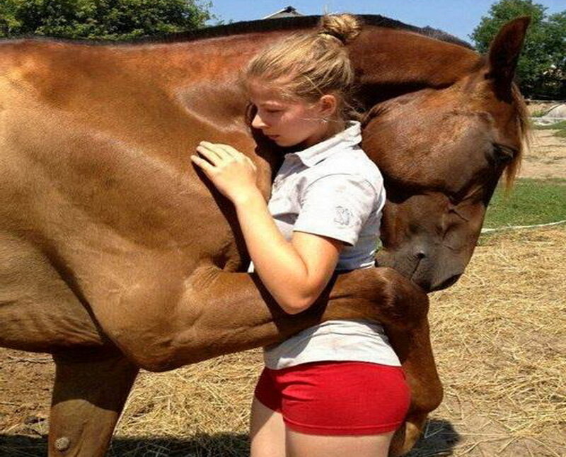 Girl Hugging Horse — Brown, Calm