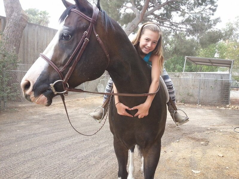 Girl Hugging Horse — Brown, Happy