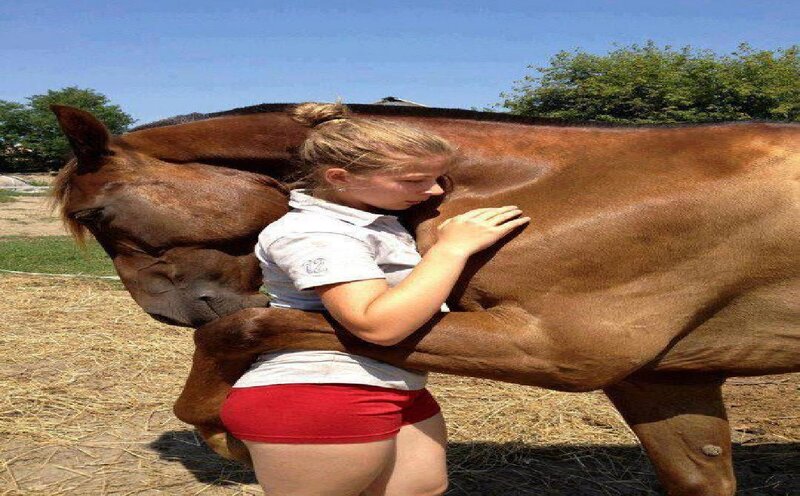 Girl Hugging Horse — Brown