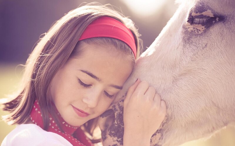 Girl Hugging Horse — Red, Serene, Afternoon, Photograph