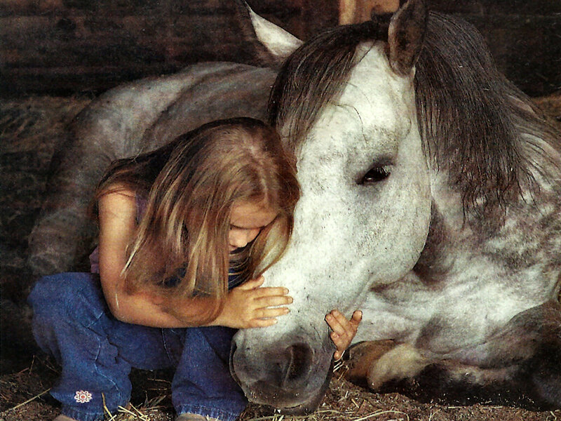 Girl Hugging Horse — White